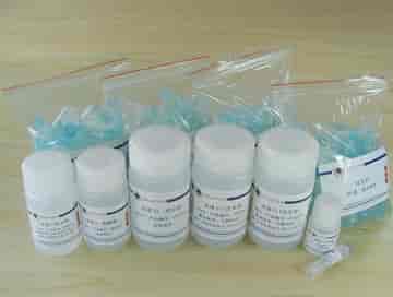 Plasmid Extraction Kit (Maxi)